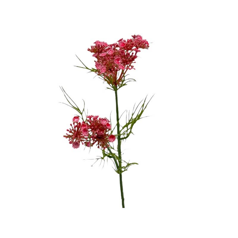 Small Dark Pink Achillea Stem