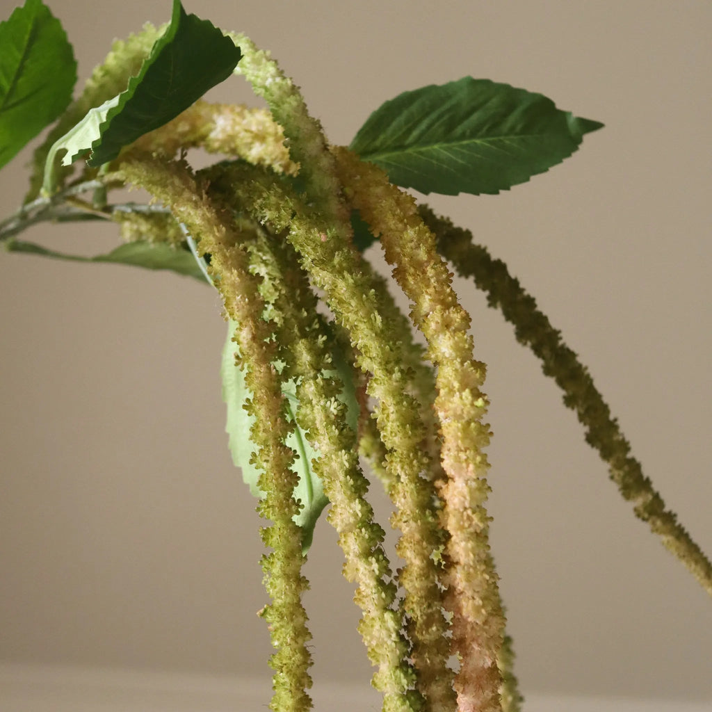 Light Green Three Forks Amaranthus Flower Stem