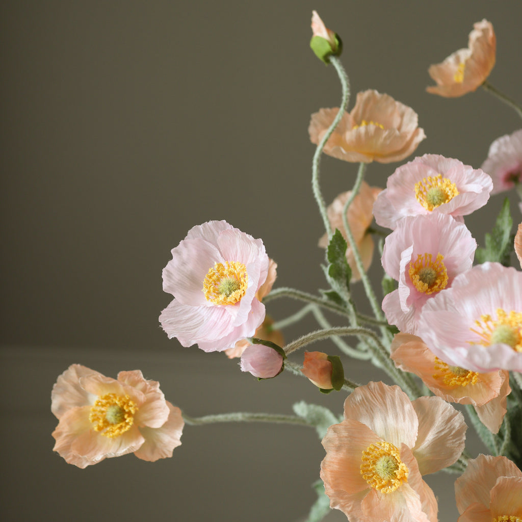 Sorbet Kisses Bouquet