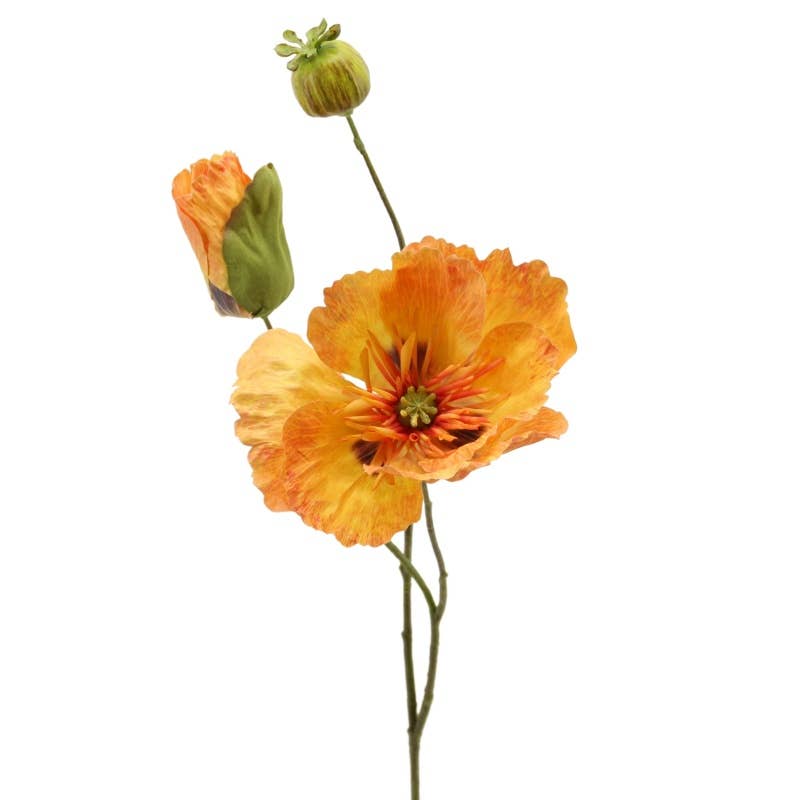 Orange Poppy Stem
