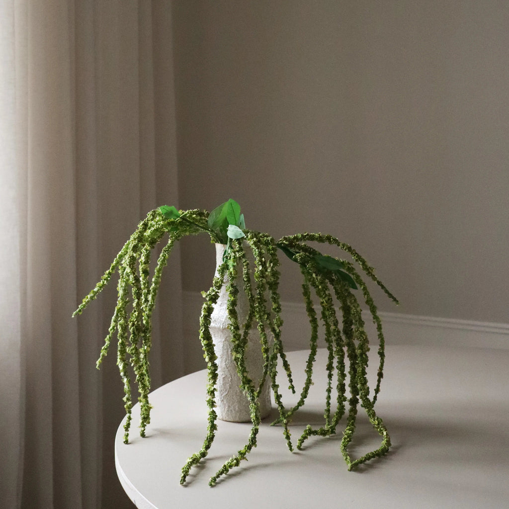 Green Amaranthus Flower Stem