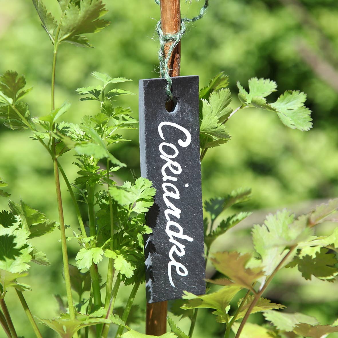 Set of 3 Natural Slate Labels