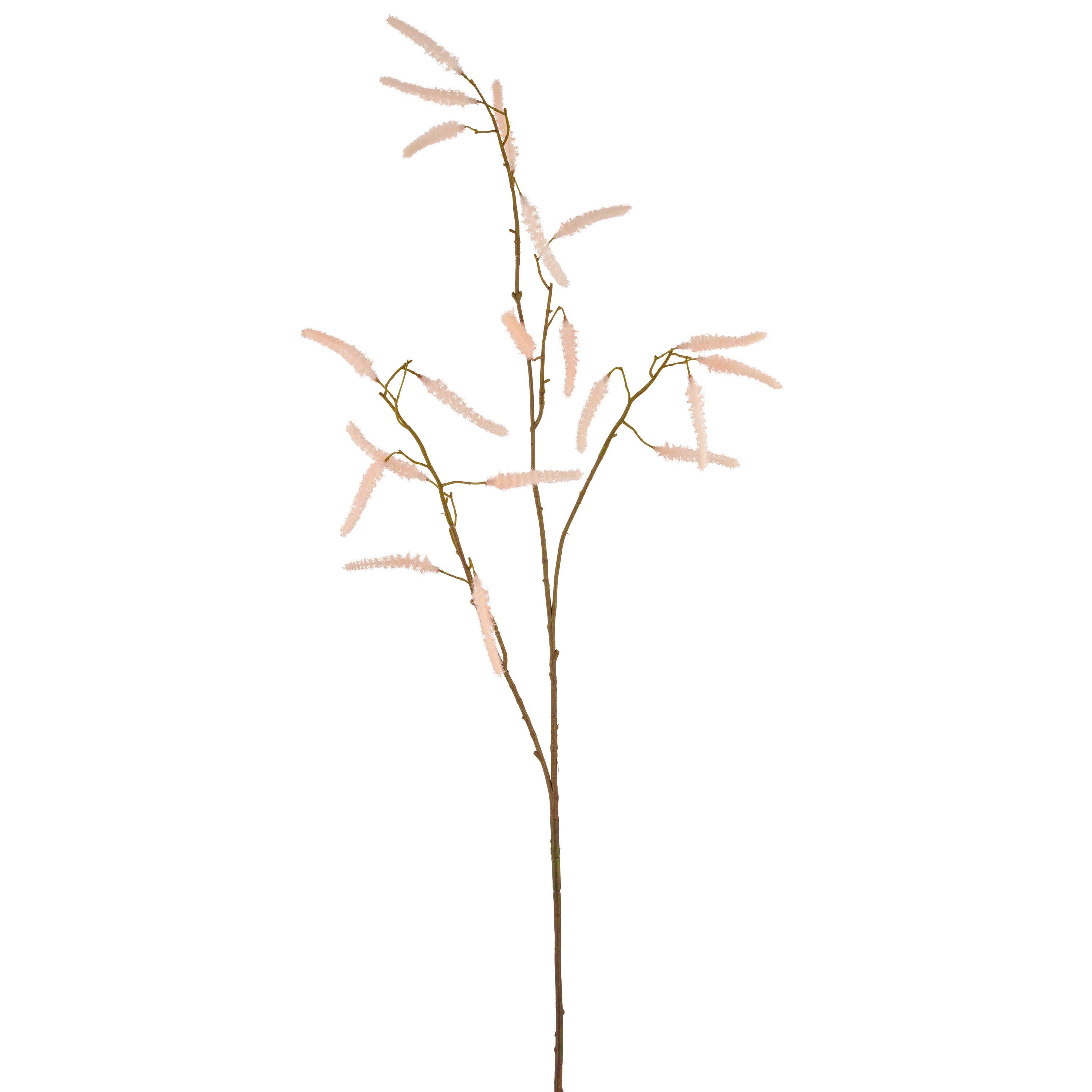 Apricot Acalypha Branch
