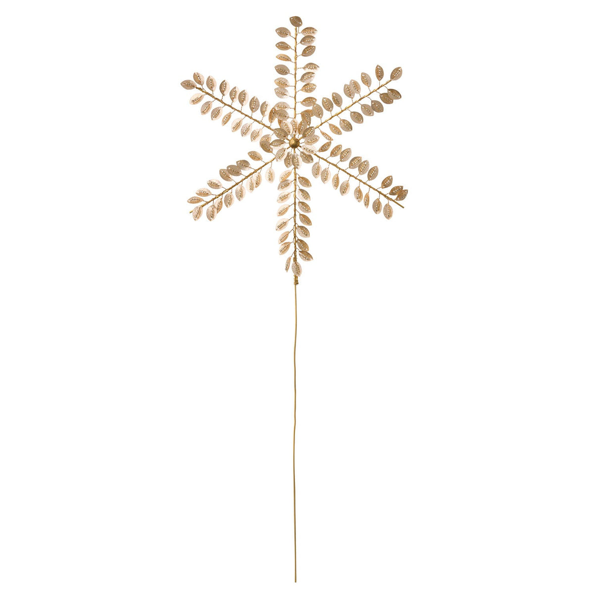 Champagne Beaded Top Star