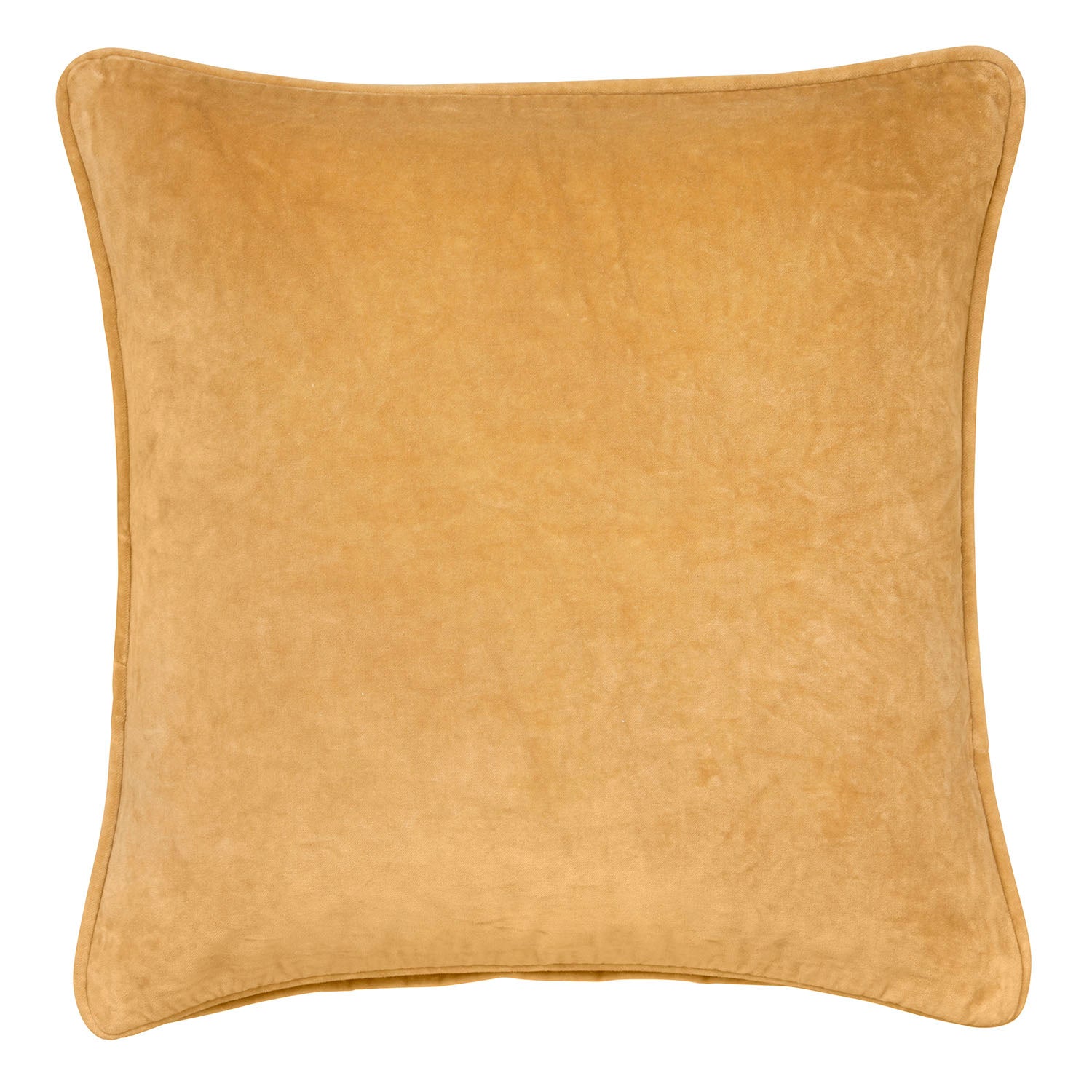 Velvet Cushion, Square