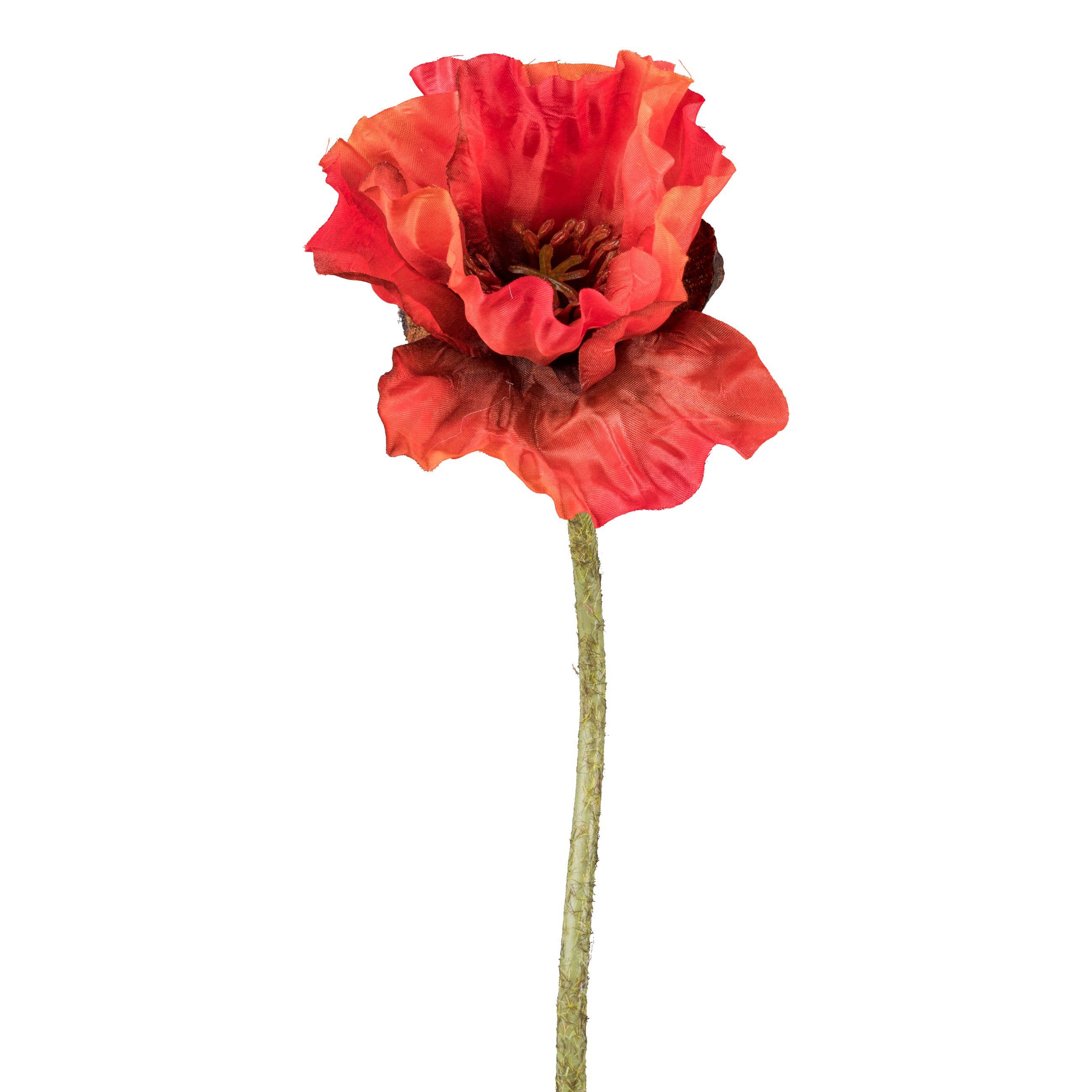 Dark Orange Poppy Stem