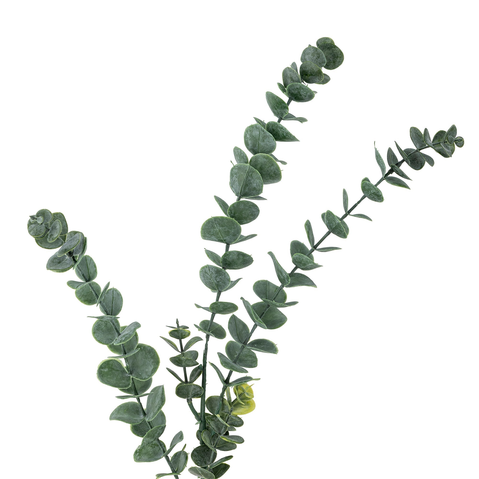 NORDIC.CHRISTMAS - Eucalyptus stem