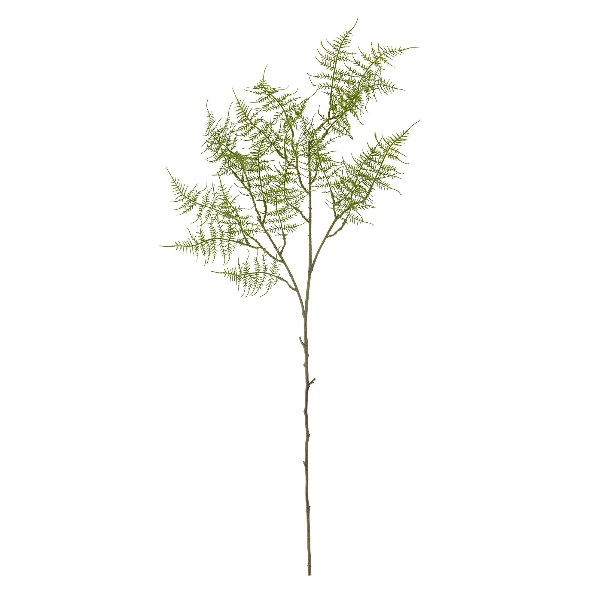 NORDIC.CHRISTMAS - Fern stem