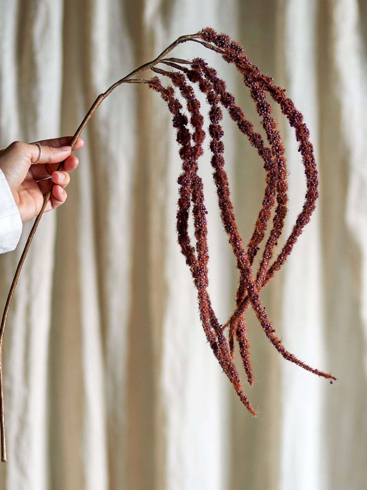 NORDIC.CHRISTMAS - Red Foxtail stem