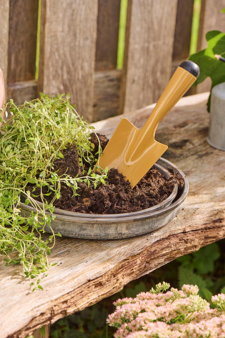 Round metal Urban Garden tray filled with potting soil, a trailing herb plant, and a mustard-yellow garden trowel on a wooden bench