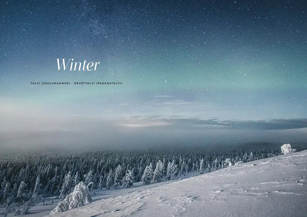 NORDIC.CHRISTMAS - Recipes And Unforgettable Experiences