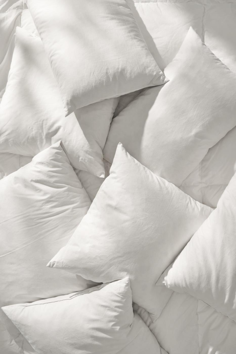 Overhead view of plump white cushion fillers arranged closely together in sunlight