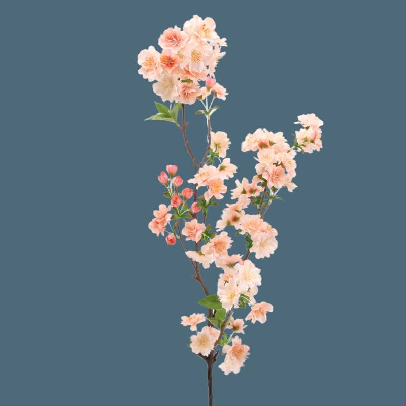 Peach Cherry blossom Branch