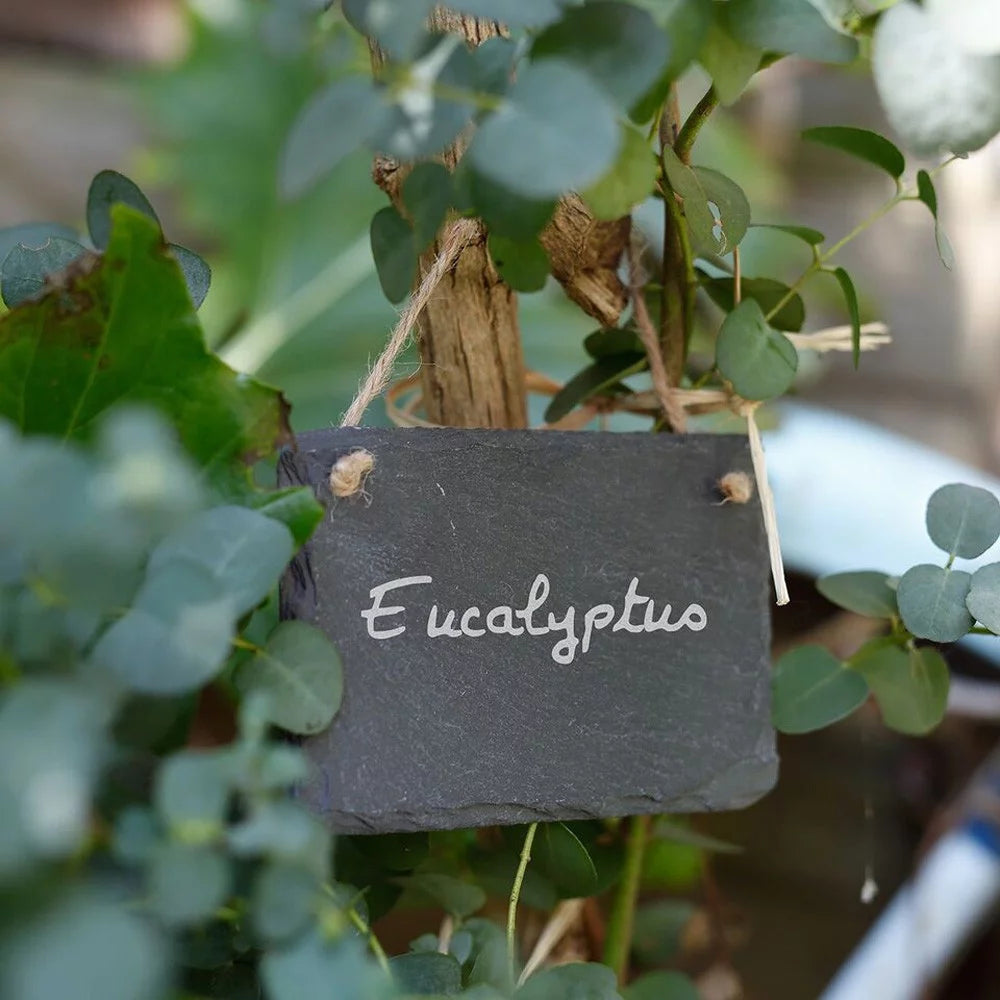 Set of 3 Natural Slate Labels and White Chalk Pencil