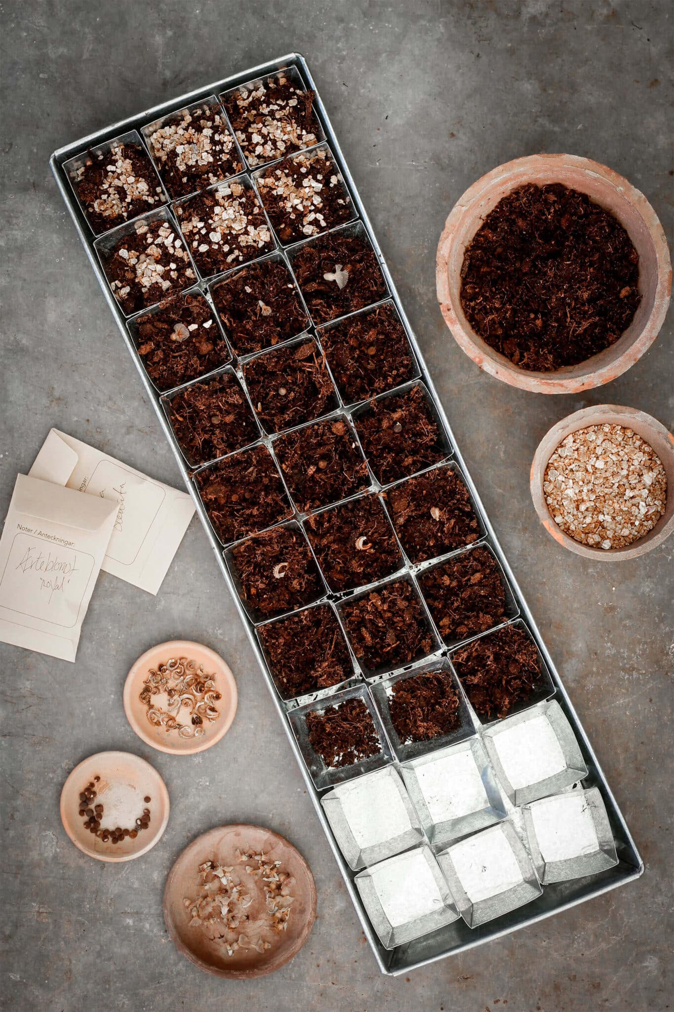 Metal seed tray with compartments filled with soil and small plants, surrounded by additional soil and small pots on a gray surface.