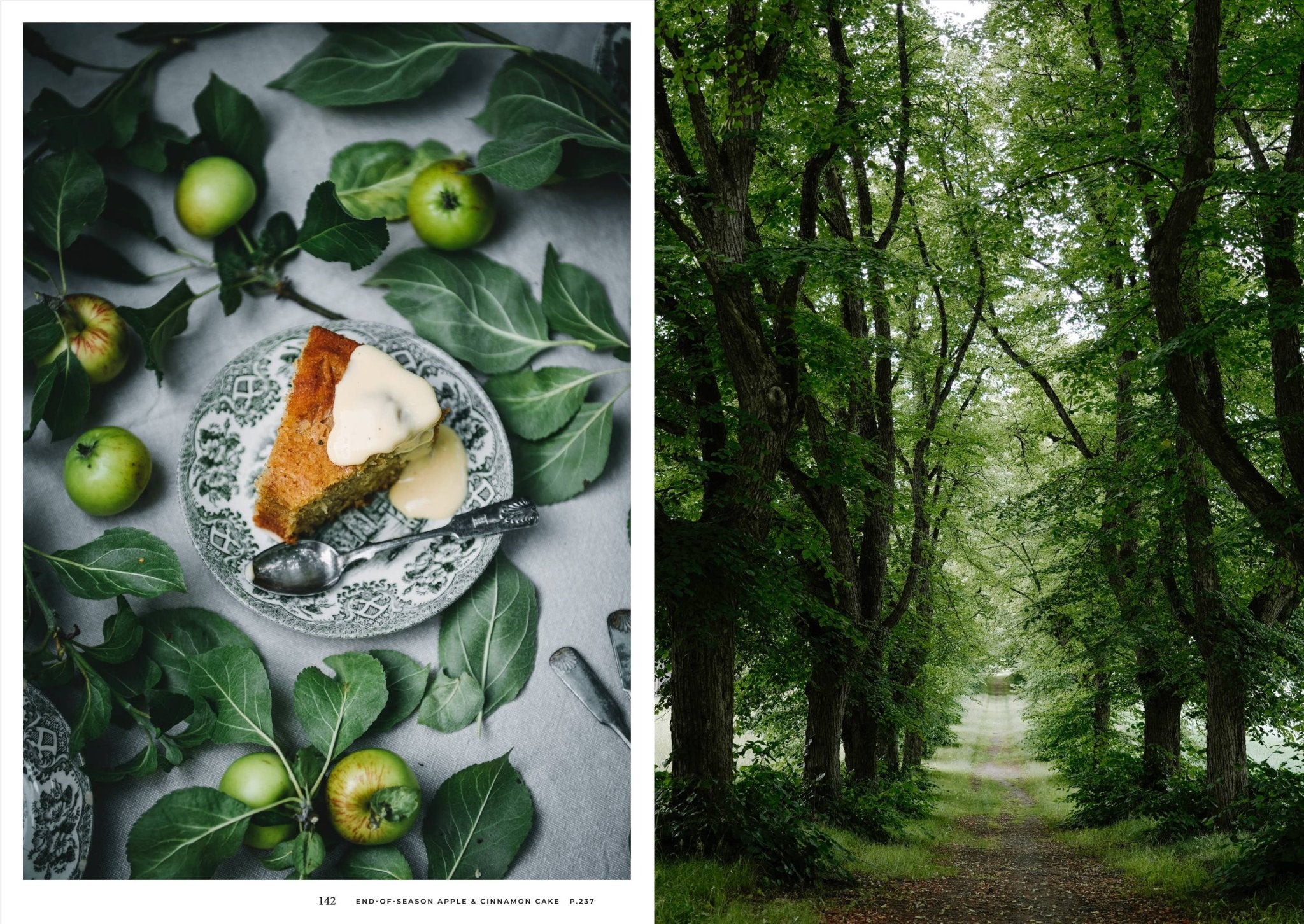 NORDIC.CHRISTMAS - Nordic Summer Cookbook