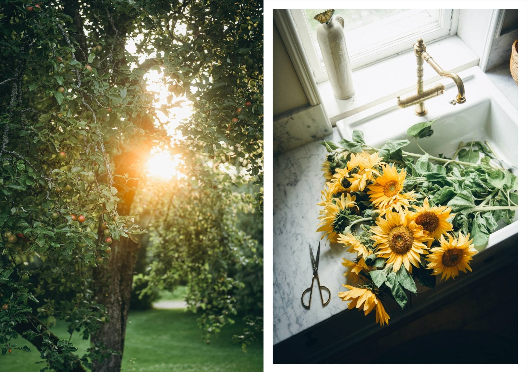 NORDIC.CHRISTMAS - Nordic Summer Cookbook