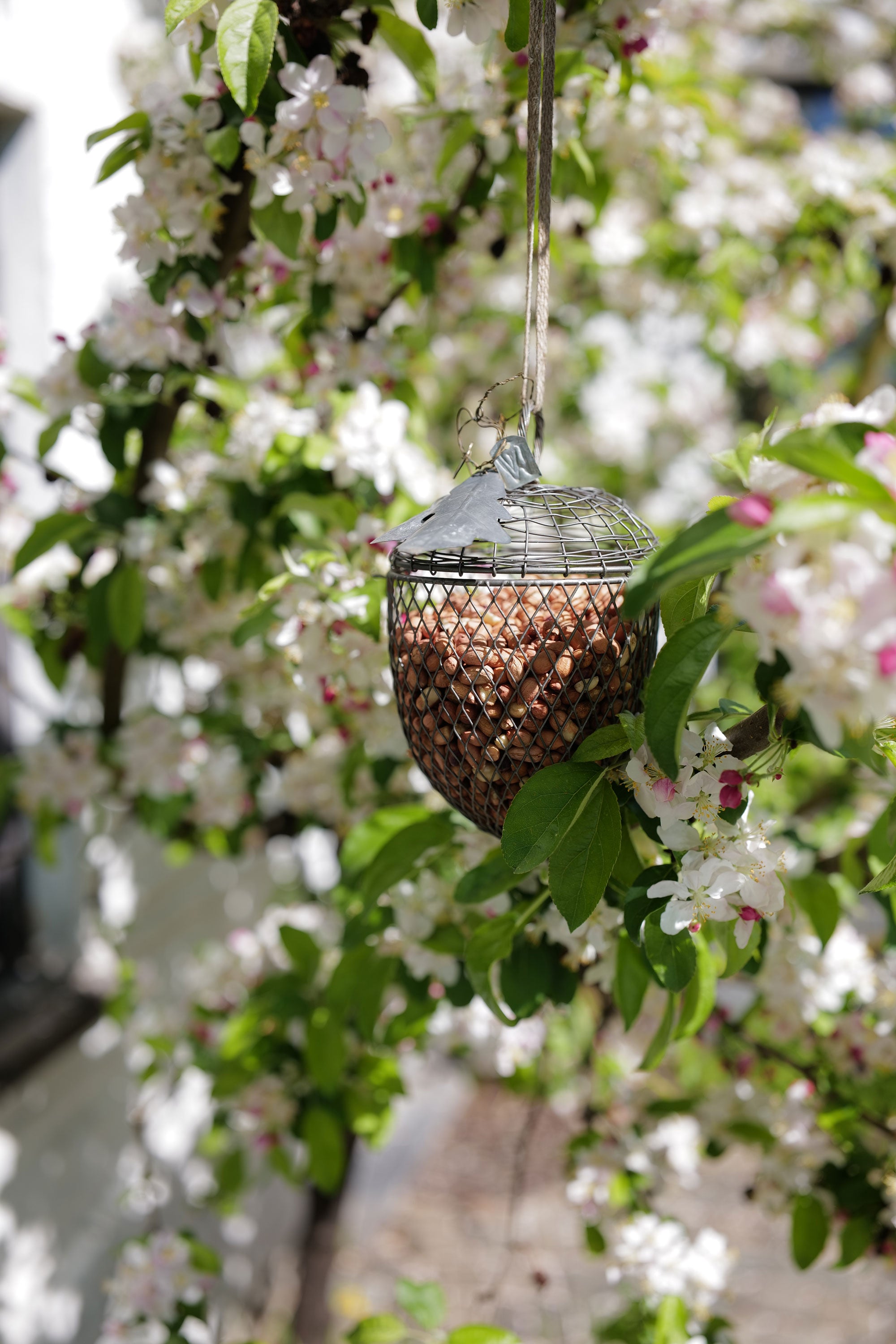 Walther&co zinc acorn birdfeeder