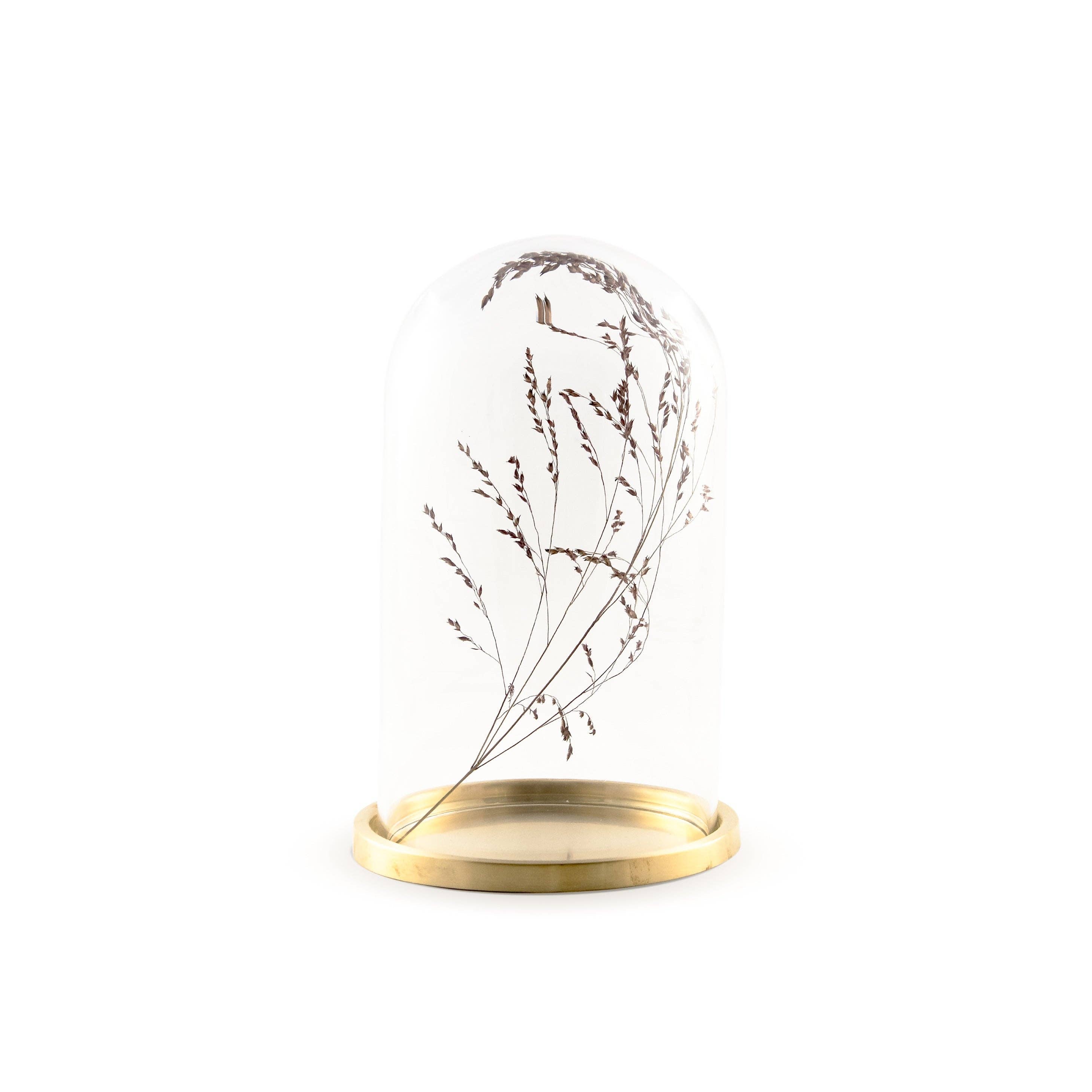 Glass dome with brass tray