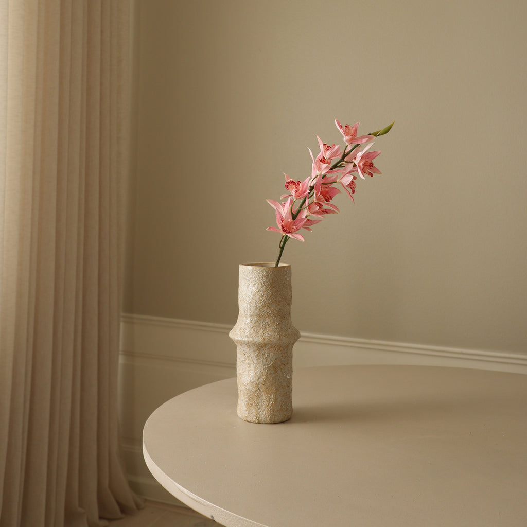 Pink Cymbidium Iridioides Orchid Flower Stem