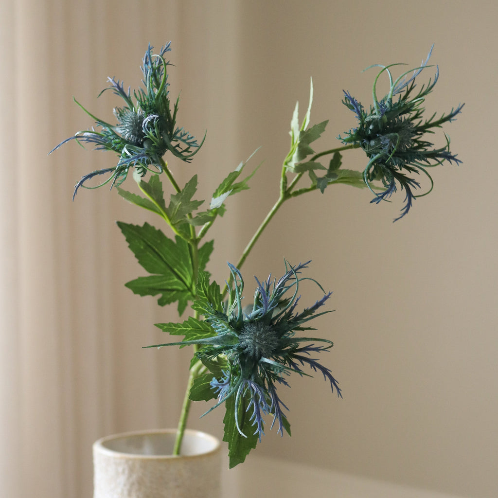 Blue Eryngium "Sea Holly" Flower Stem