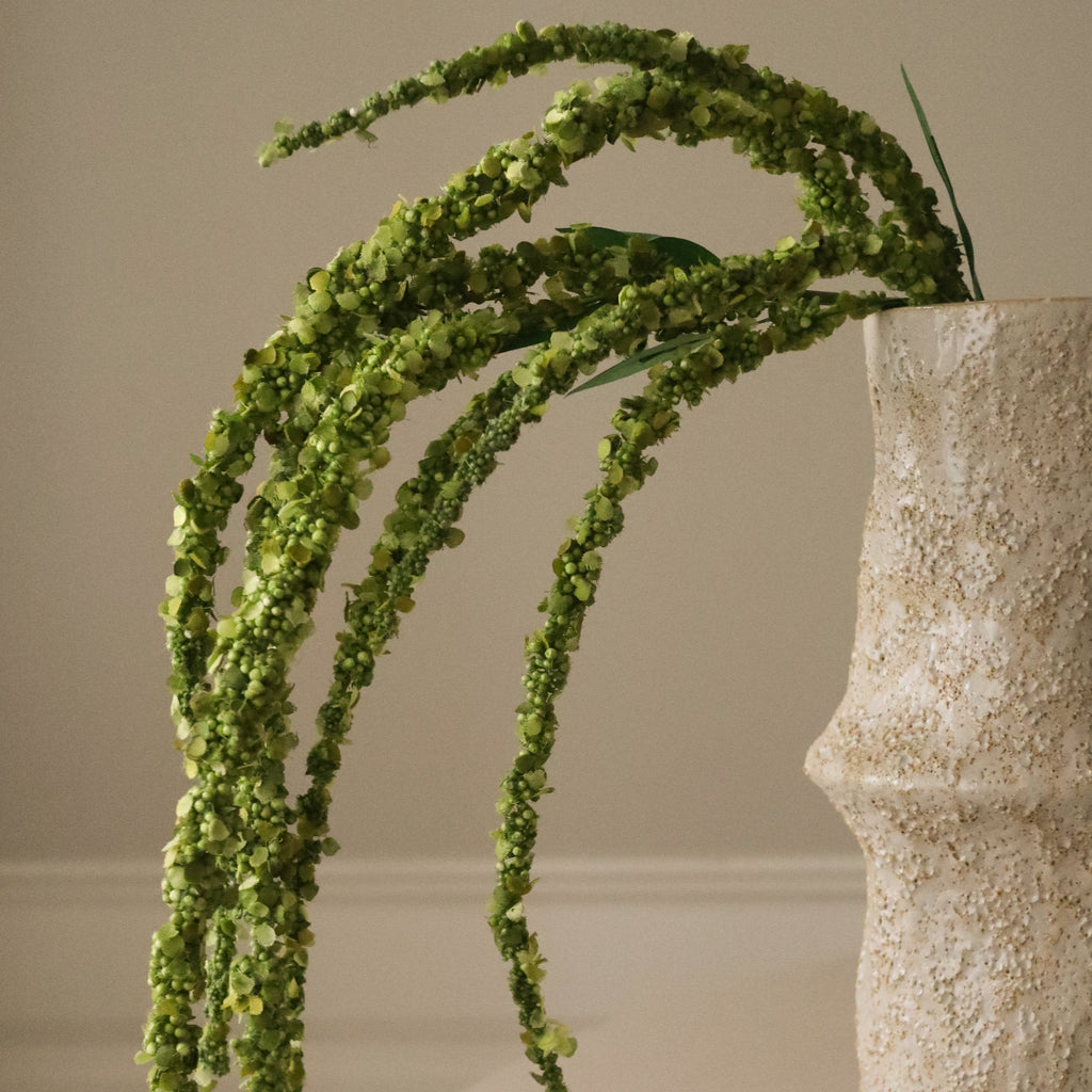 Green Amaranthus Flower Stem