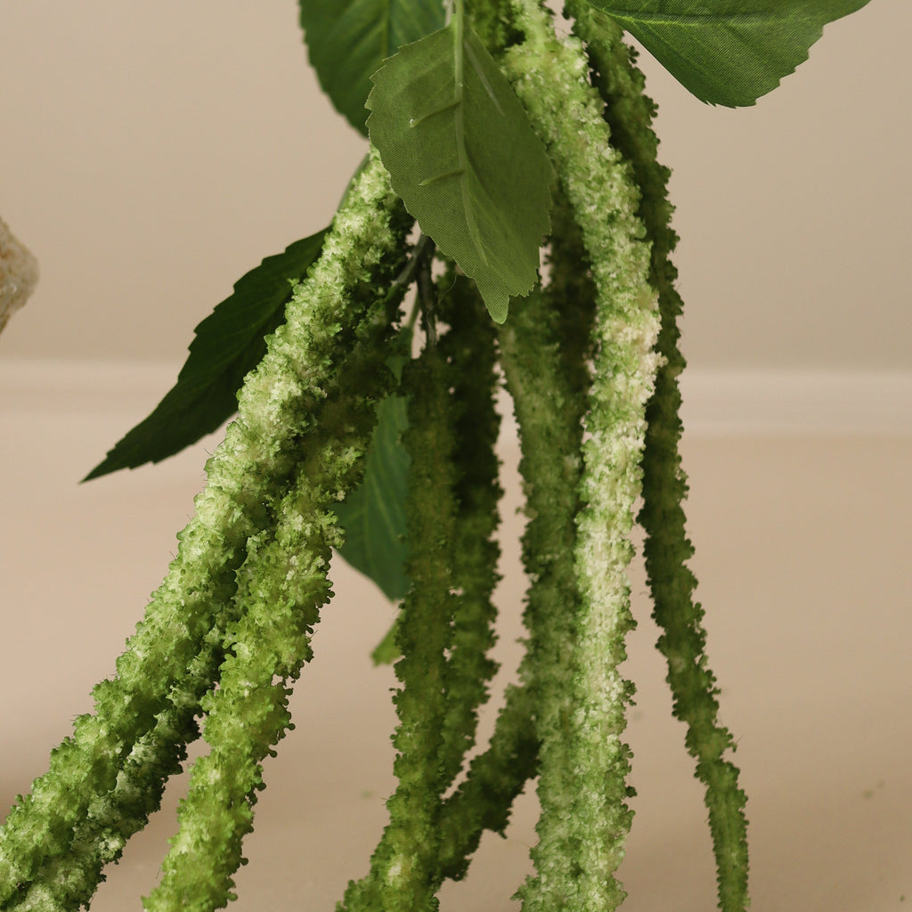 Green Three Forks Amaranthus Flower Stem