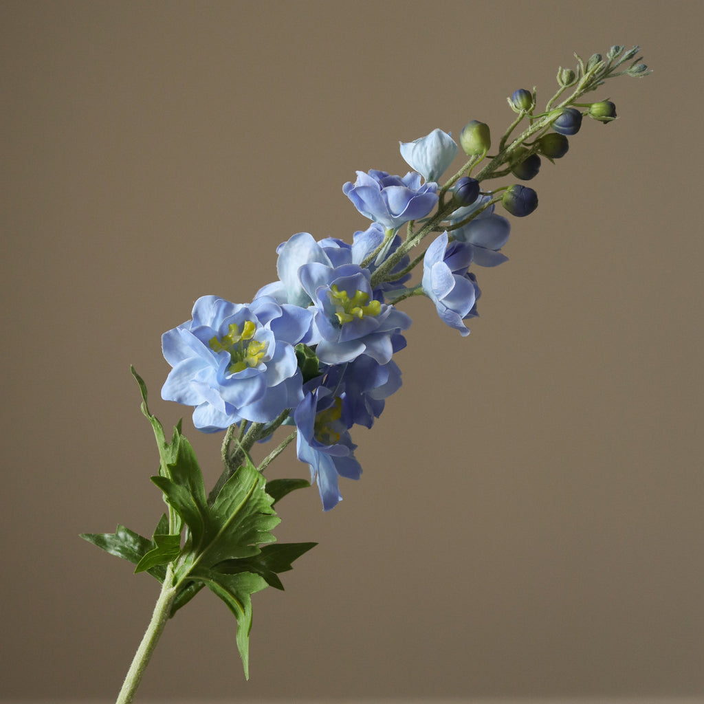 Light Blue Delphinium Flower Stem