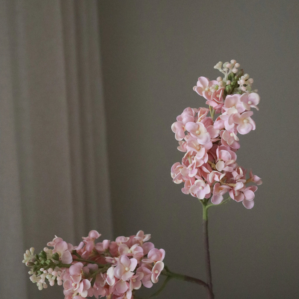 Light Pink Lilac Flower Stem