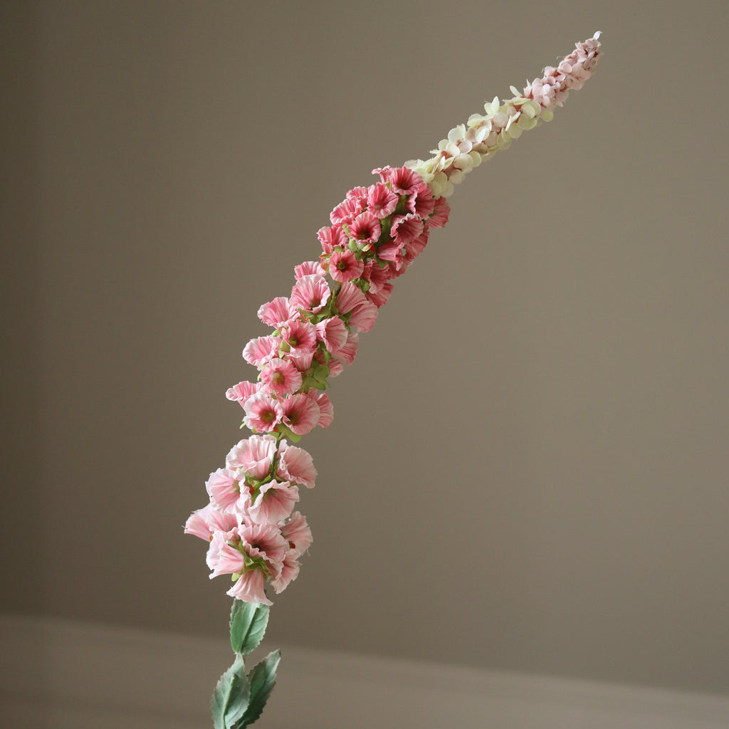 Pink Foxtail Flower Stem