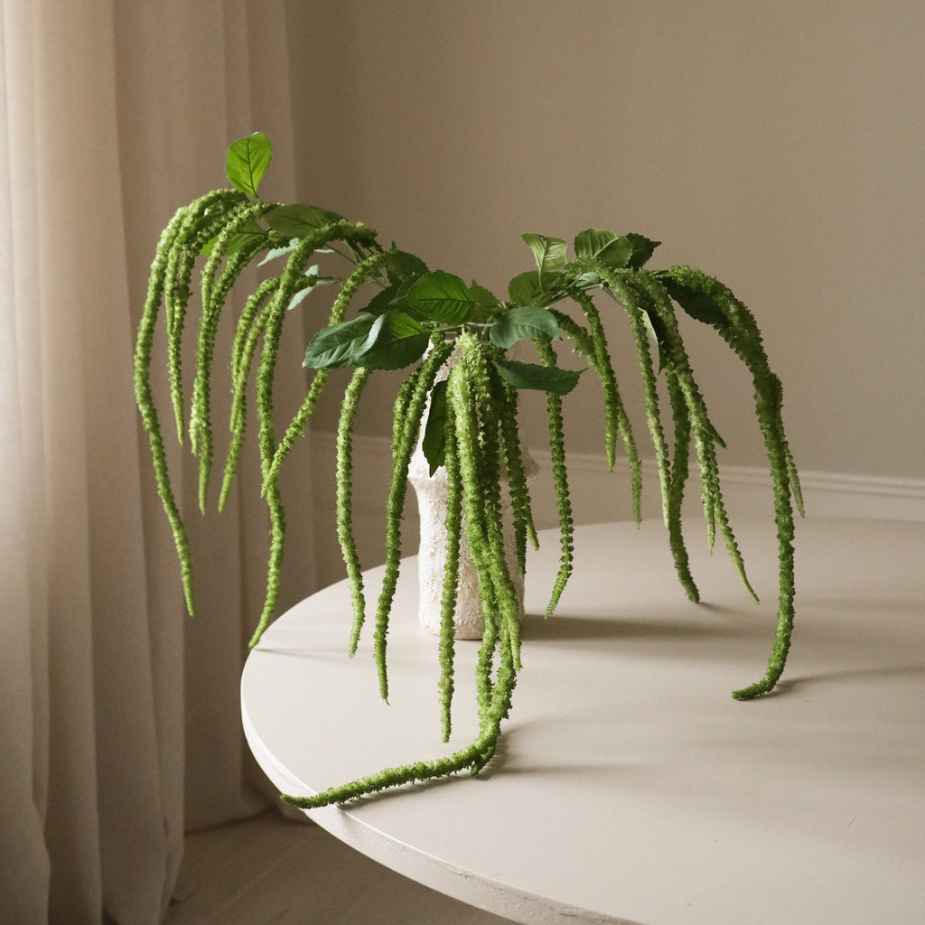 Green Three Forks Amaranthus Flower Stem