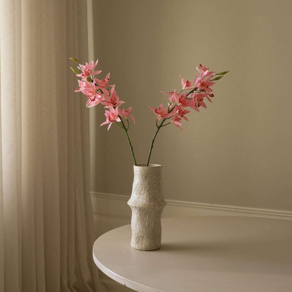 Pink Cymbidium Iridioides Orchid Flower Stem