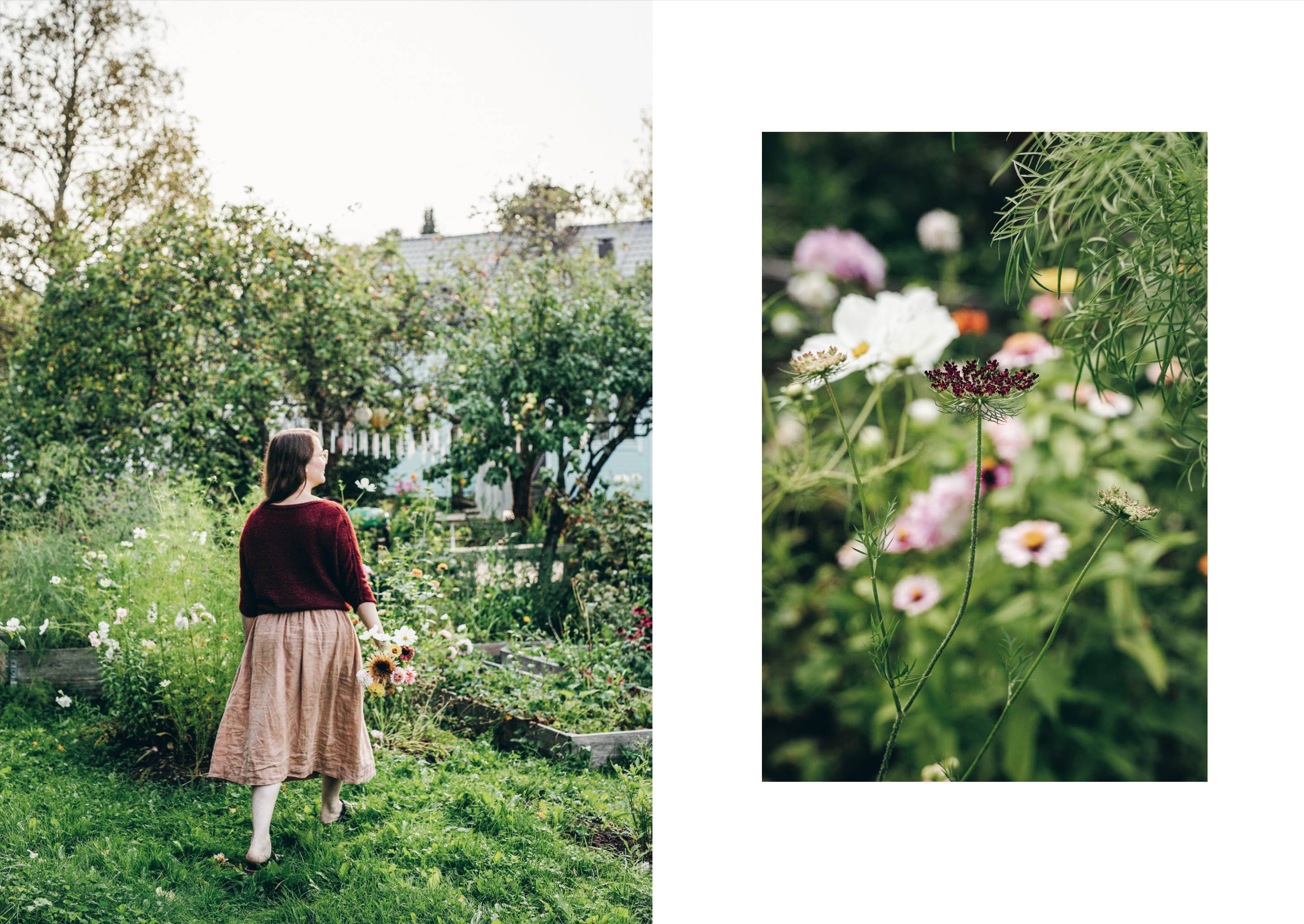 Tricots de nos jardins