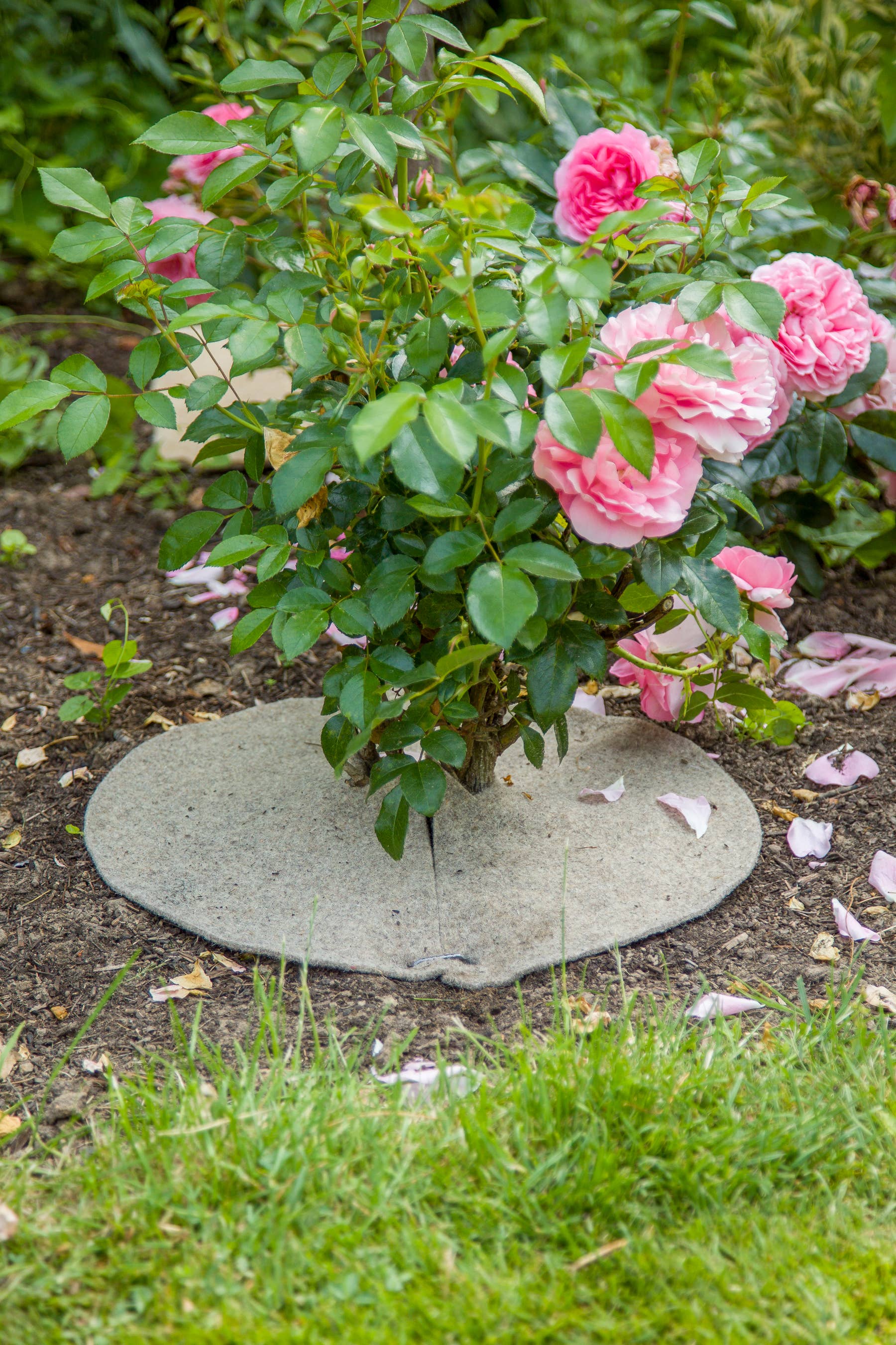 Natural Jute Felt Mulch Disc