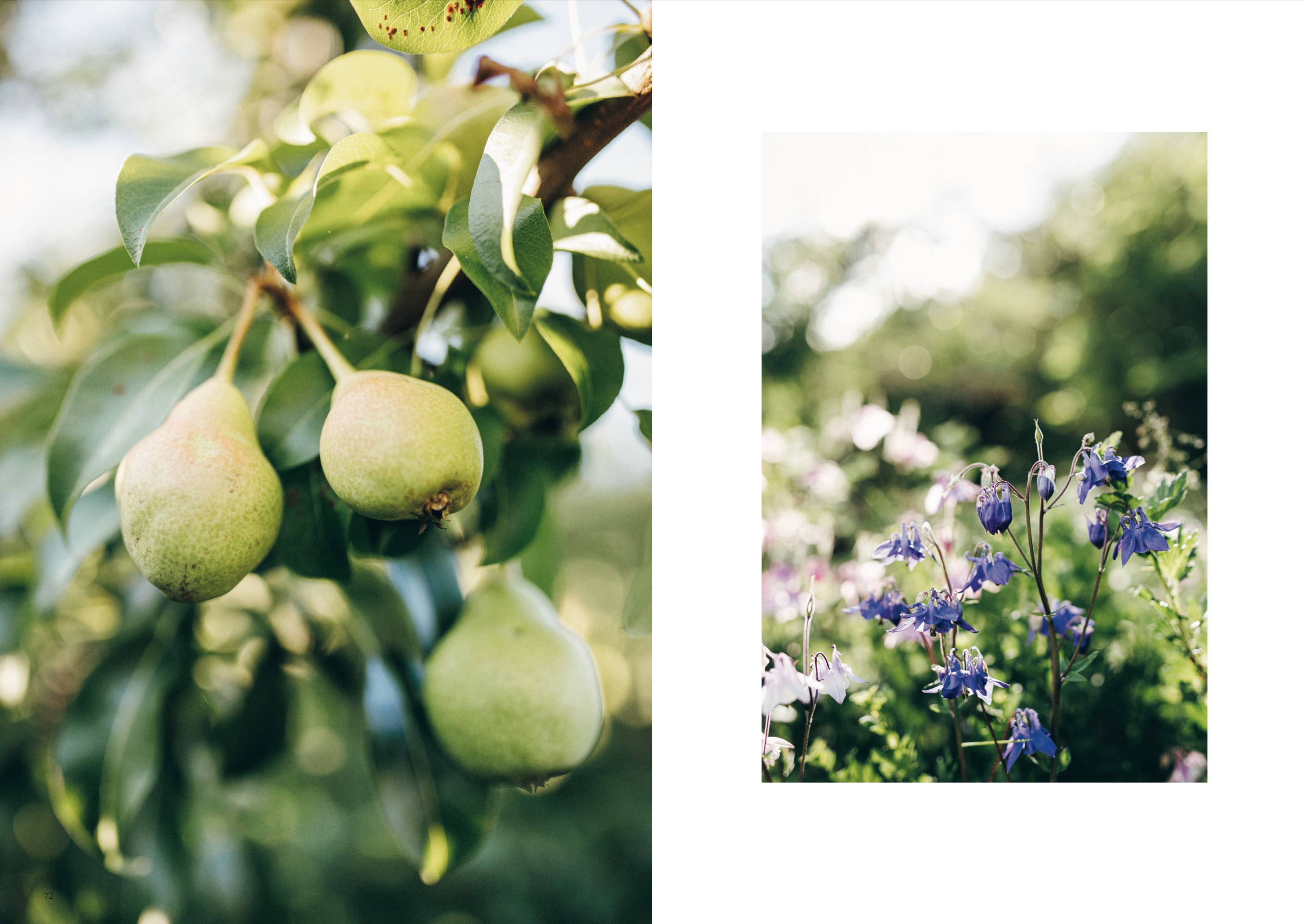 Tricots de nos jardins
