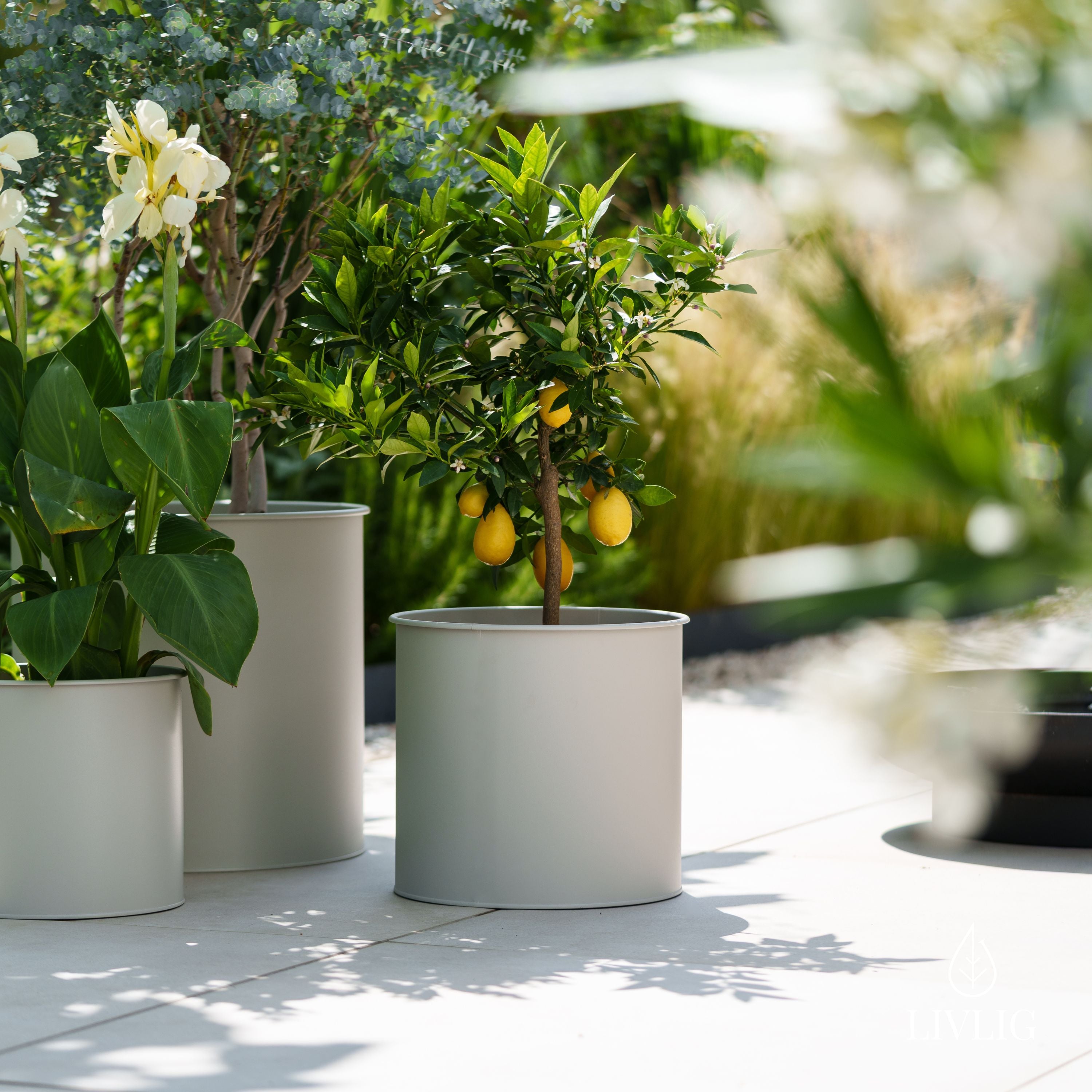 Set of 3 Moss Green Metal Flower Pots