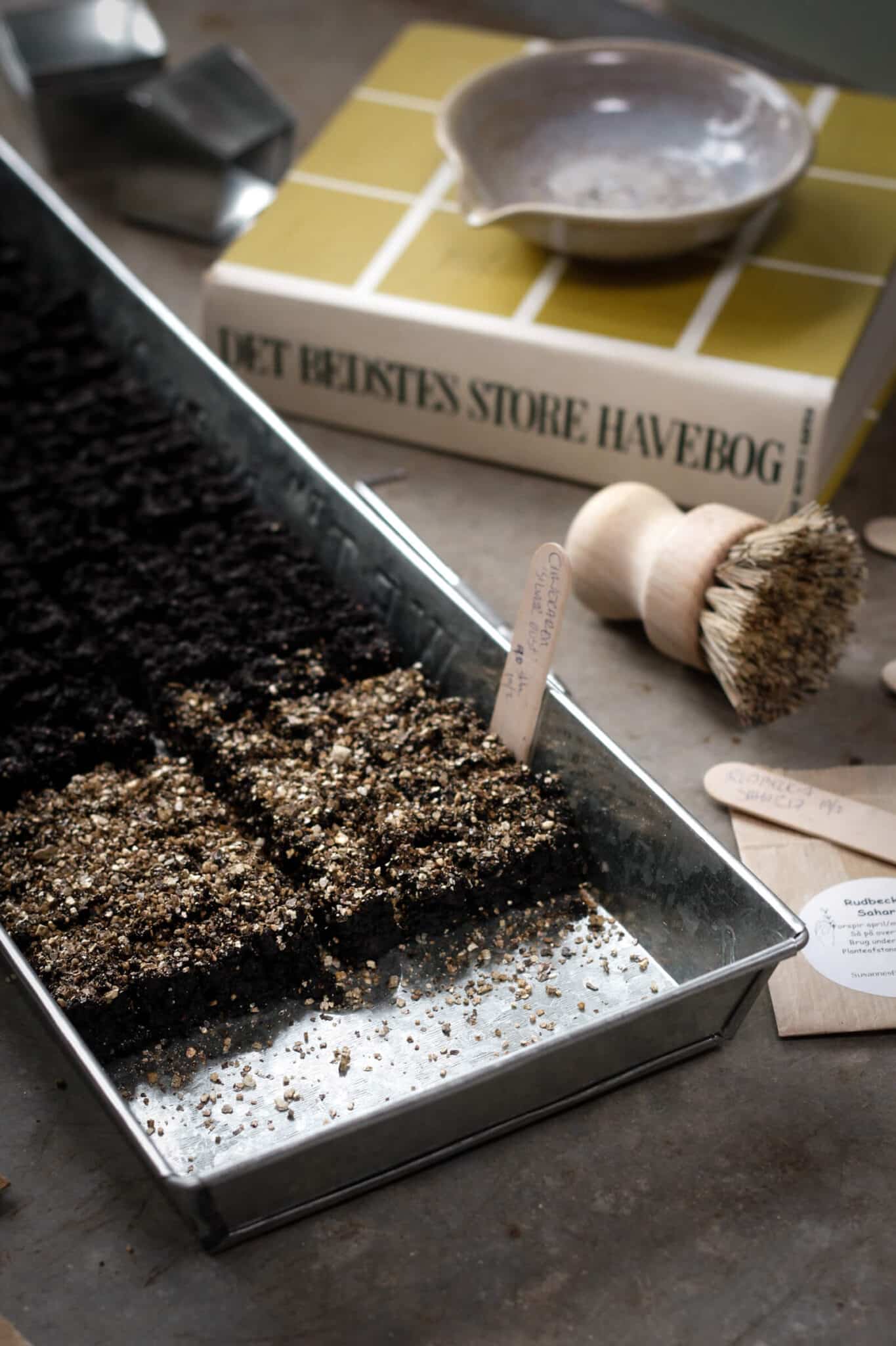 Seedling tray with soil and small plants on a table with a book and brush in the background.