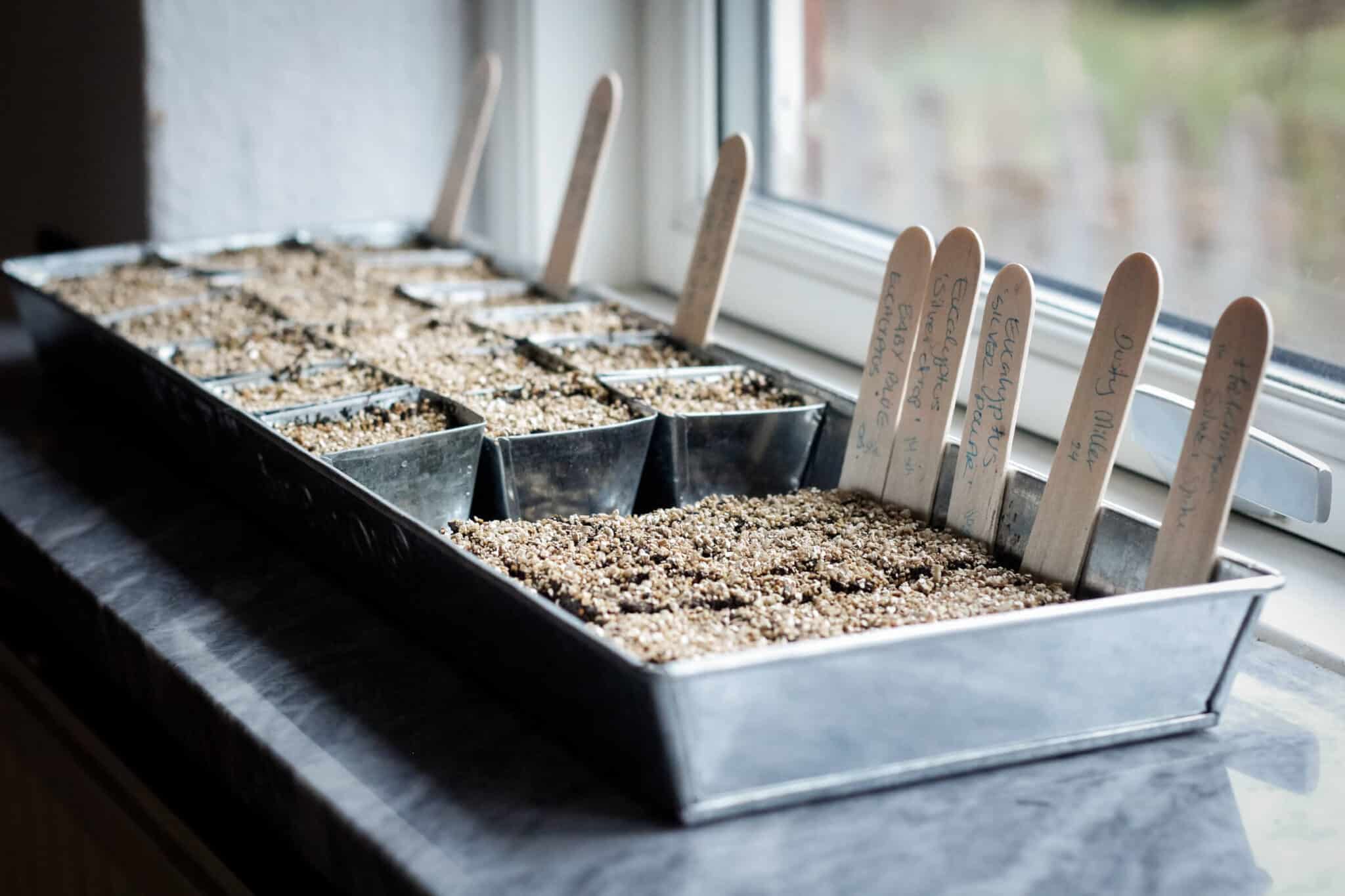 Zinc Plant Cultivation & Propagation Tray with 30 Individual Pots