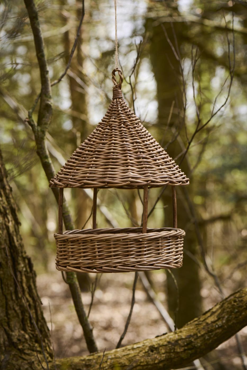 Wicker bird feeder hanging from a tree branch in a forest setting
