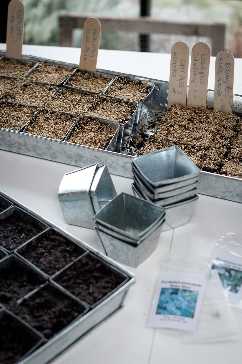 Seedling trays with soil, small metal containers, and seed packets on a white surface.