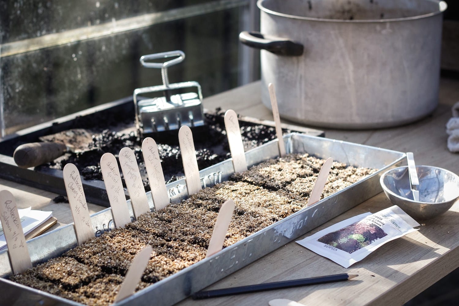 Seedling tray with soil and small plants on a wooden table, with gardening tools in the background.