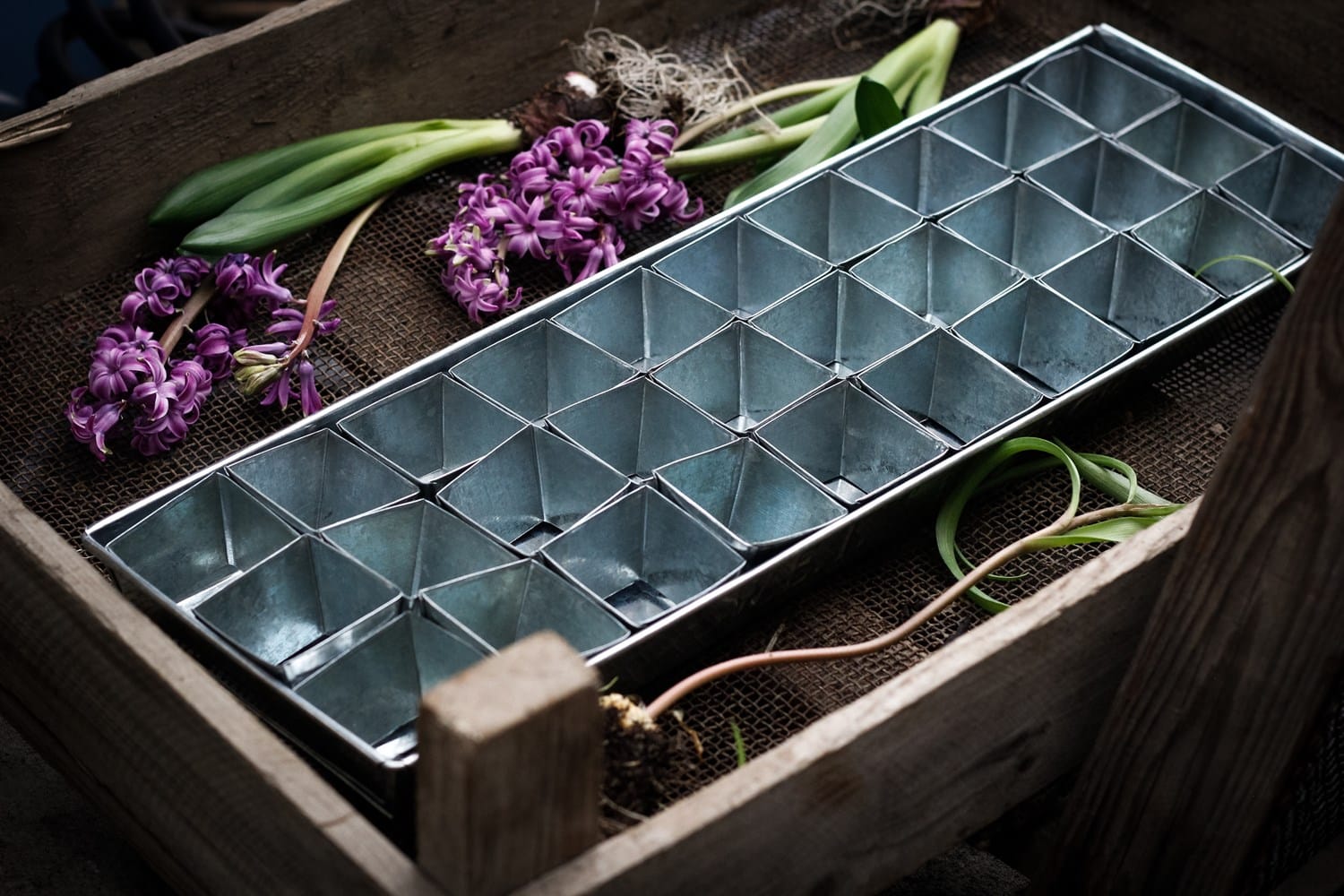 Metal seed tray with purple flowers and green leaves on a wooden surface