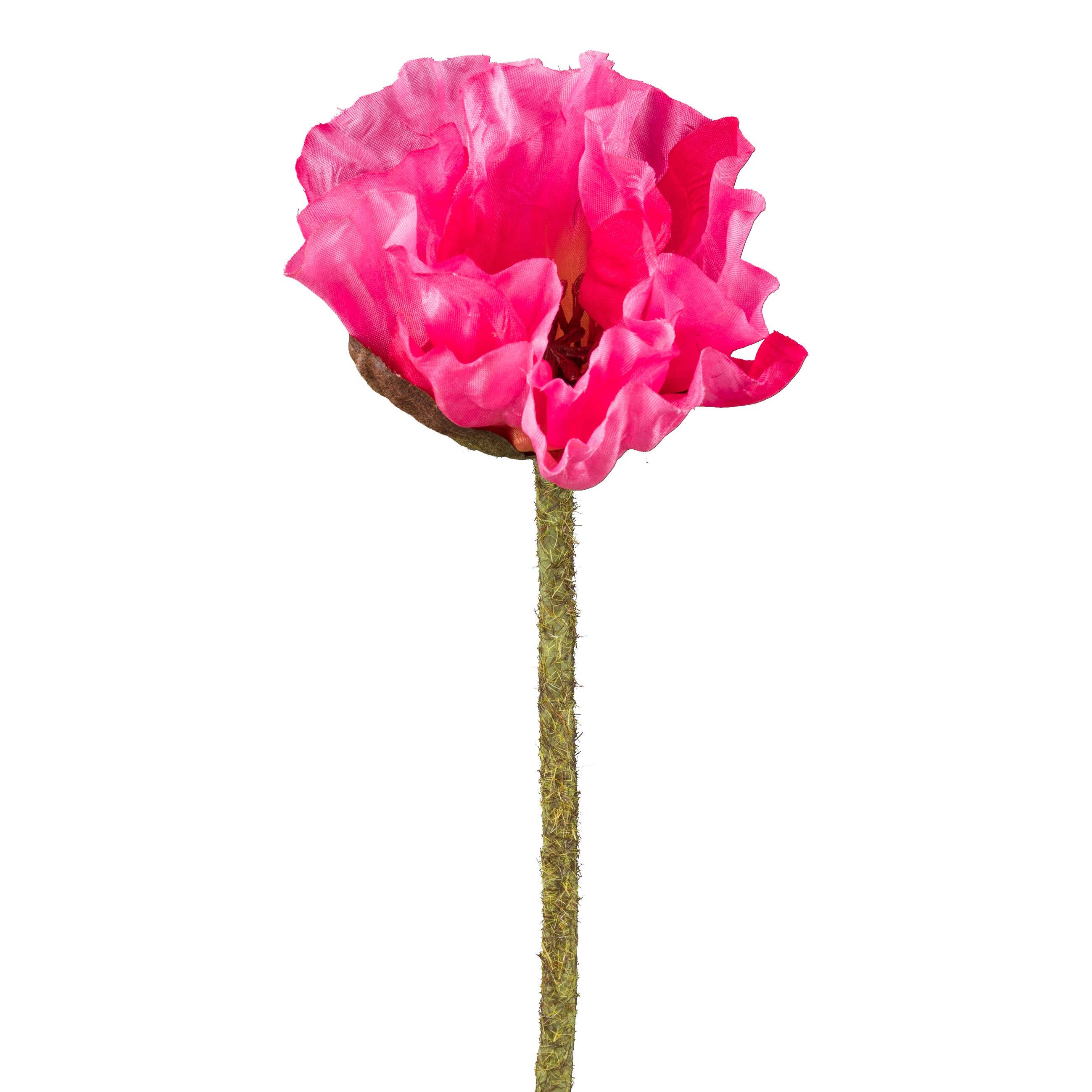 Pink Poppy Stem