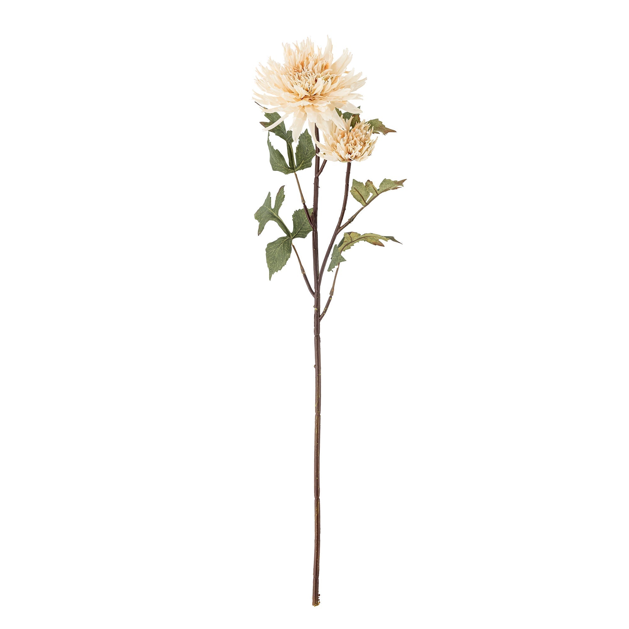 NORDIC.CHRISTMAS - Cream Dahlia