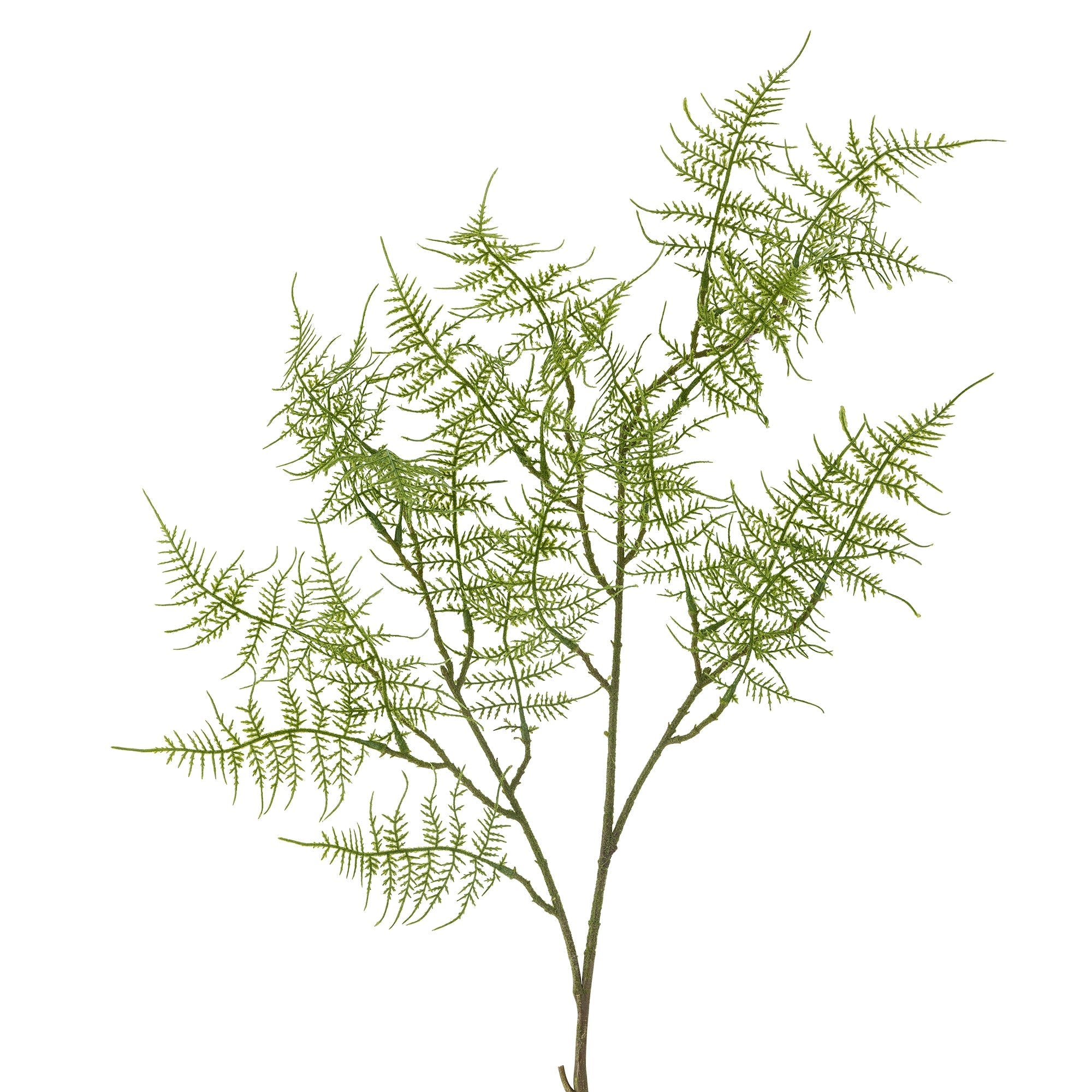 NORDIC.CHRISTMAS - Fern stem