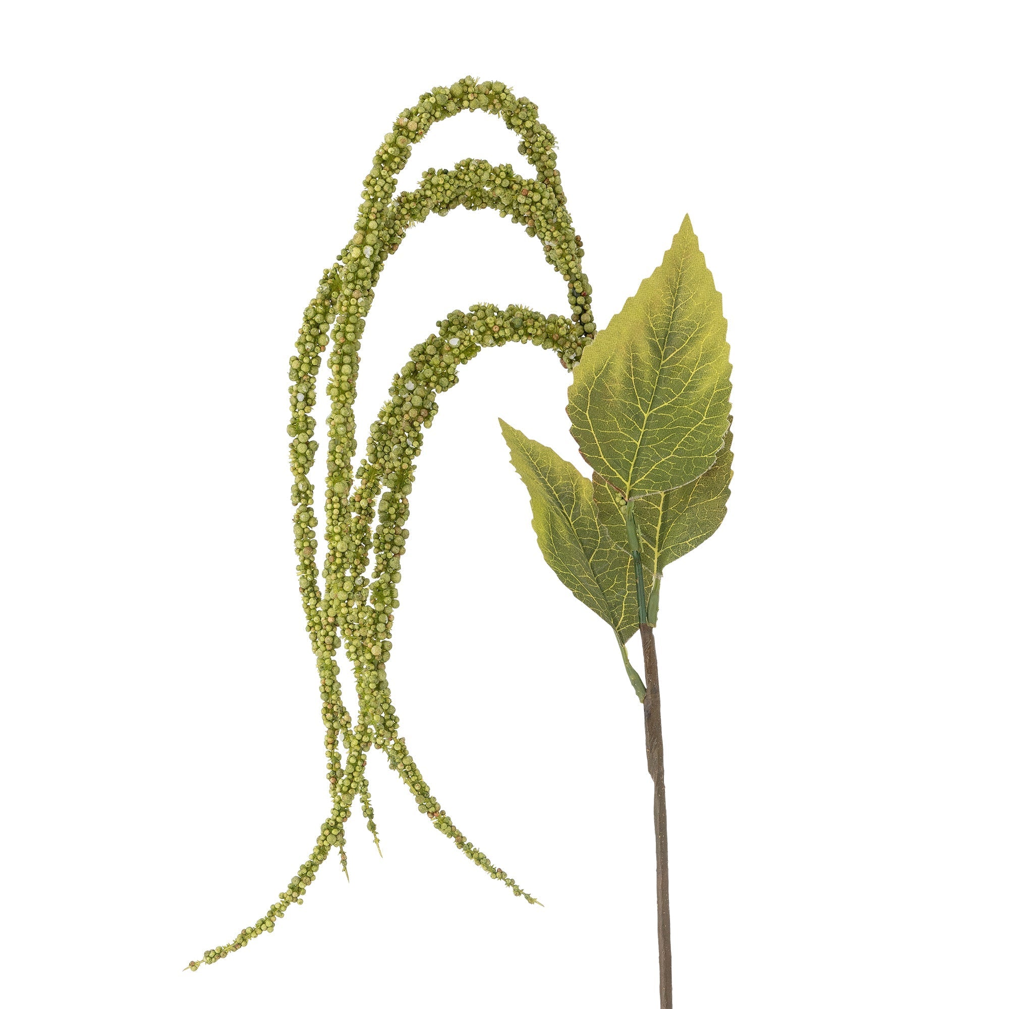 NORDIC.CHRISTMAS - Green Foxtail stem