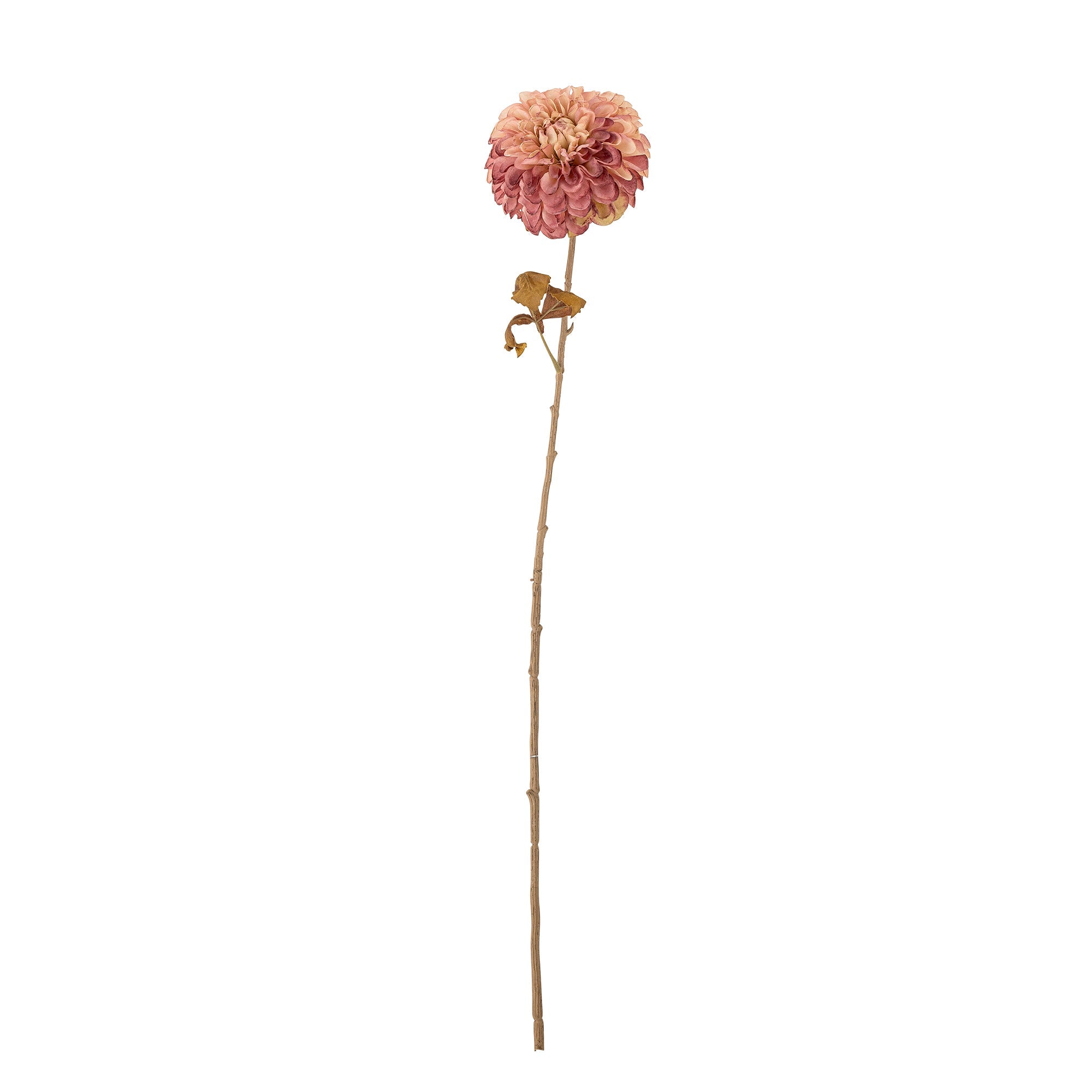 NORDIC.CHRISTMAS - Old Pink Dahlia