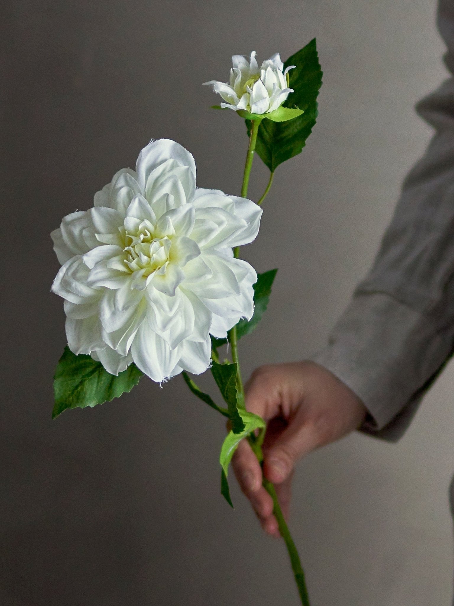 NORDIC.CHRISTMAS - White Dahlia stem