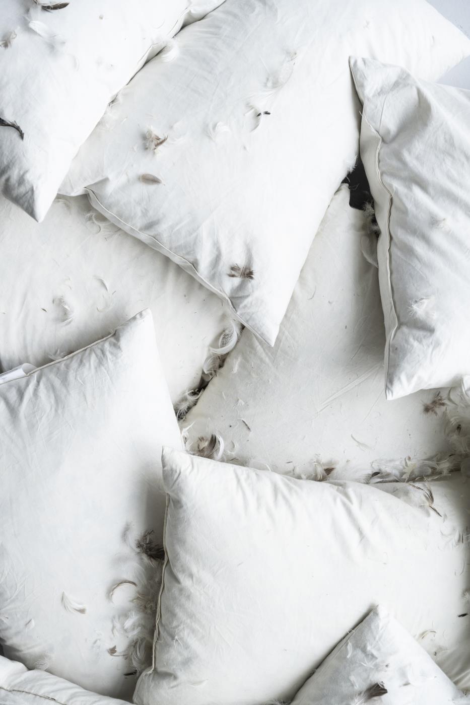 Overhead view of white cushion fillers piled together with feathers scattered across them