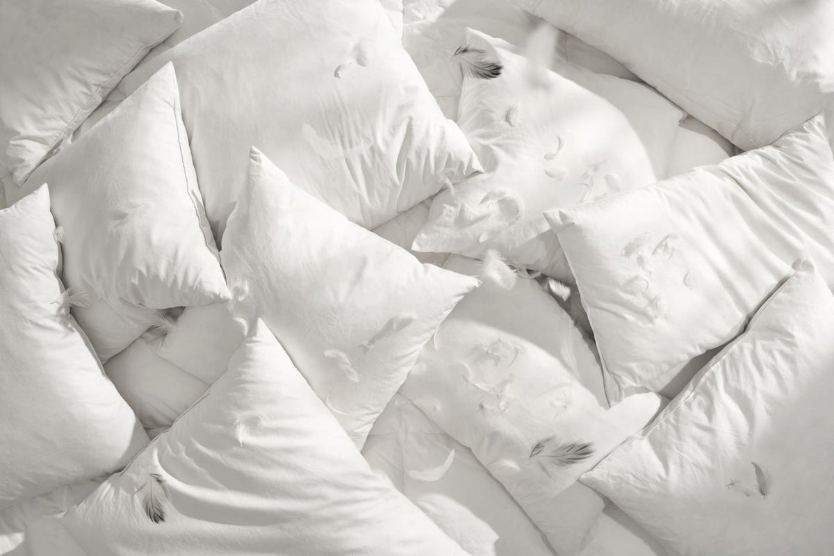 Overhead view of white cushion fillers with scattered feathers and one feather caught mid-air